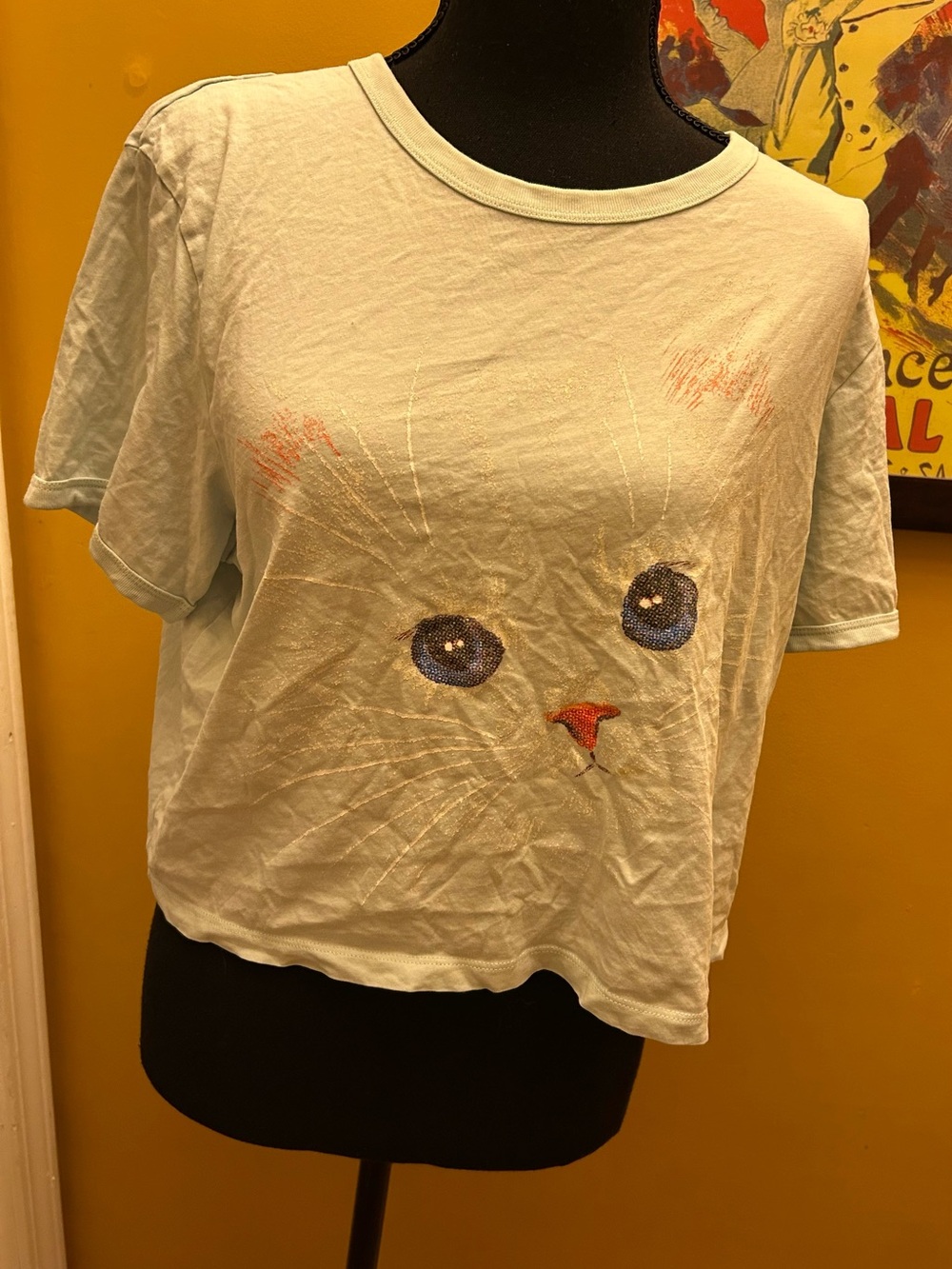 Pac Sun Levi’s Baby Blue Vintage Look Pretty White Kitty Boxy Crop Tee Size L